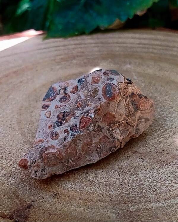 Jaspe leopardita